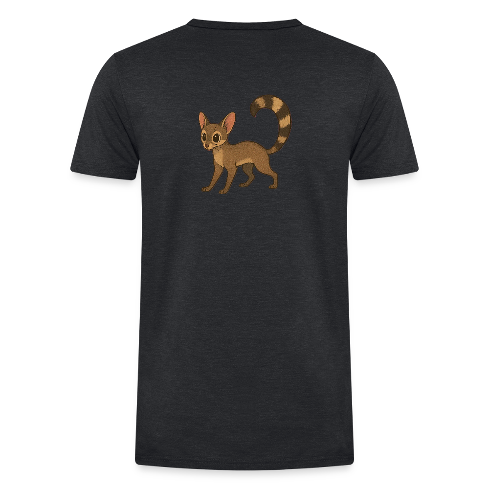 Ringtail Spotlight | Men's Classic Tri-Blend T-Shirt - Black - heather black