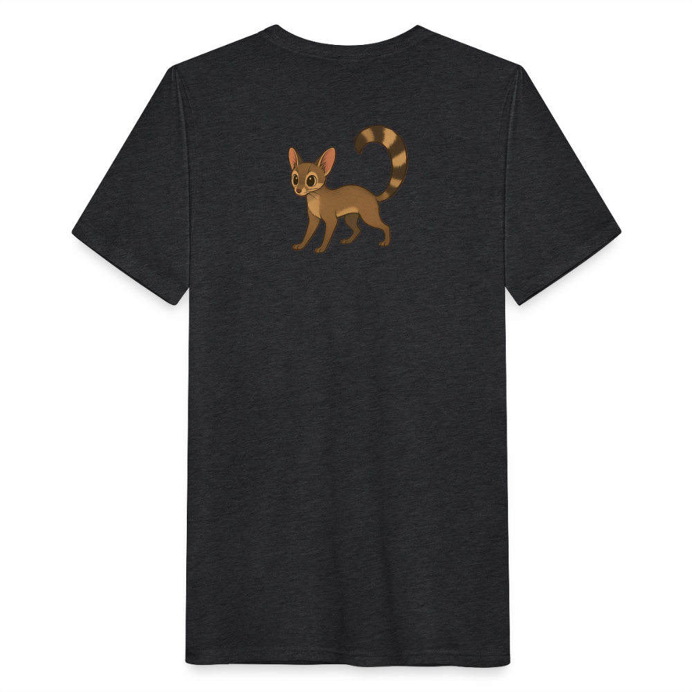 Ringtail Spotlight | Men's Classic Tri-Blend T-Shirt - Black - heather black