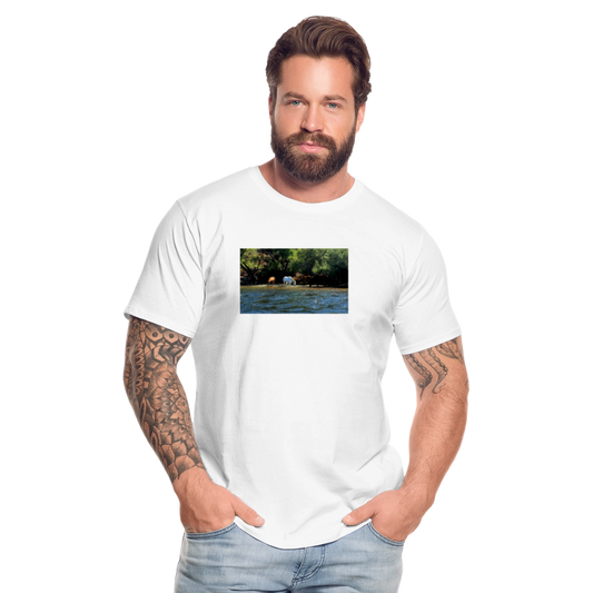 Salt River Horses | Men's Organic T-Shirt - White - white
