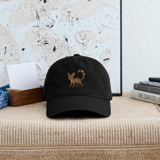 Ringtail Spotlight | Organic Baseball Hat - Black - black