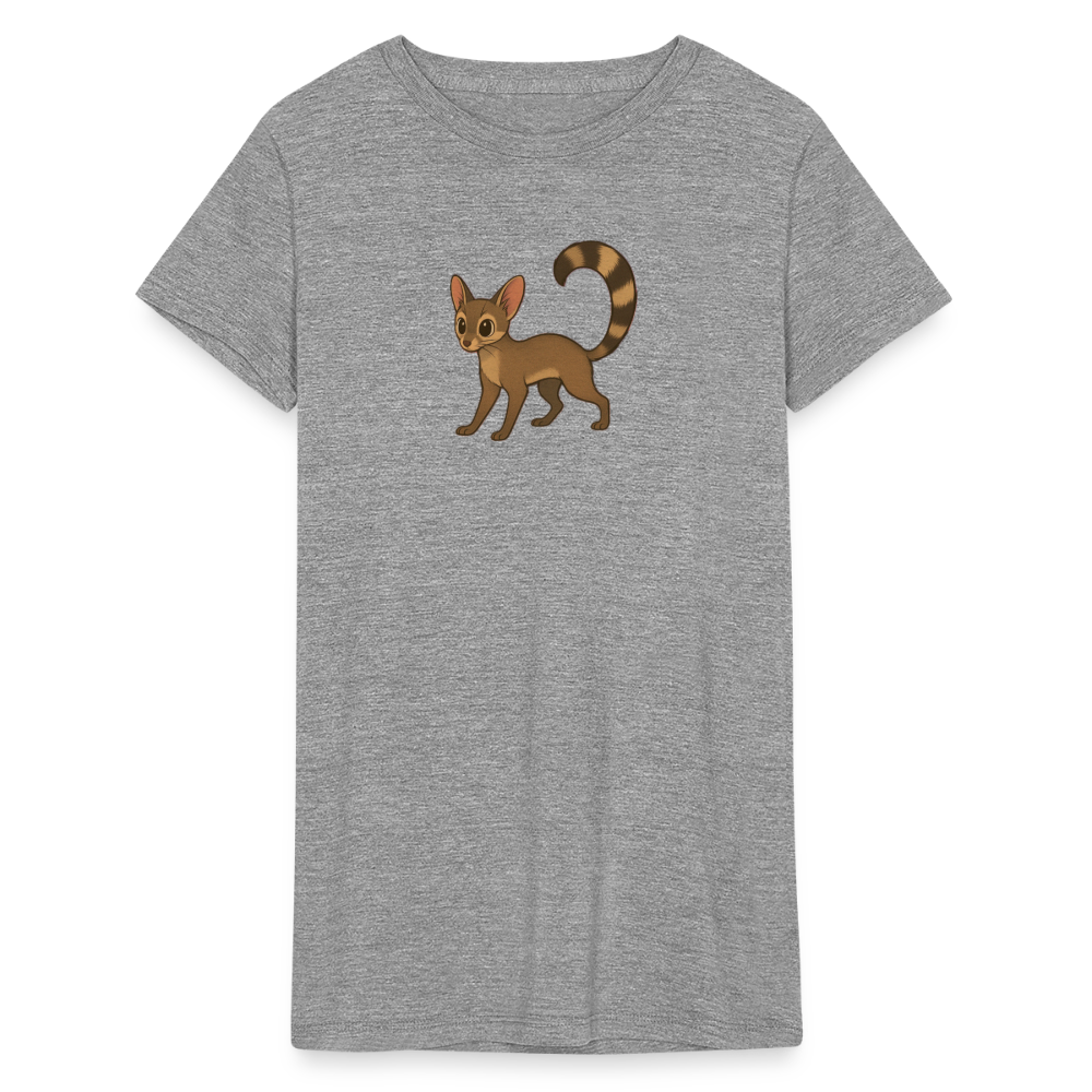 Ringtail Spotlight | Women's Tri-Blend T-Shirt - Gray - heather gray