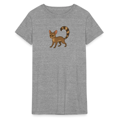 Ringtail Spotlight | Women's Tri-Blend T-Shirt - Gray - heather gray