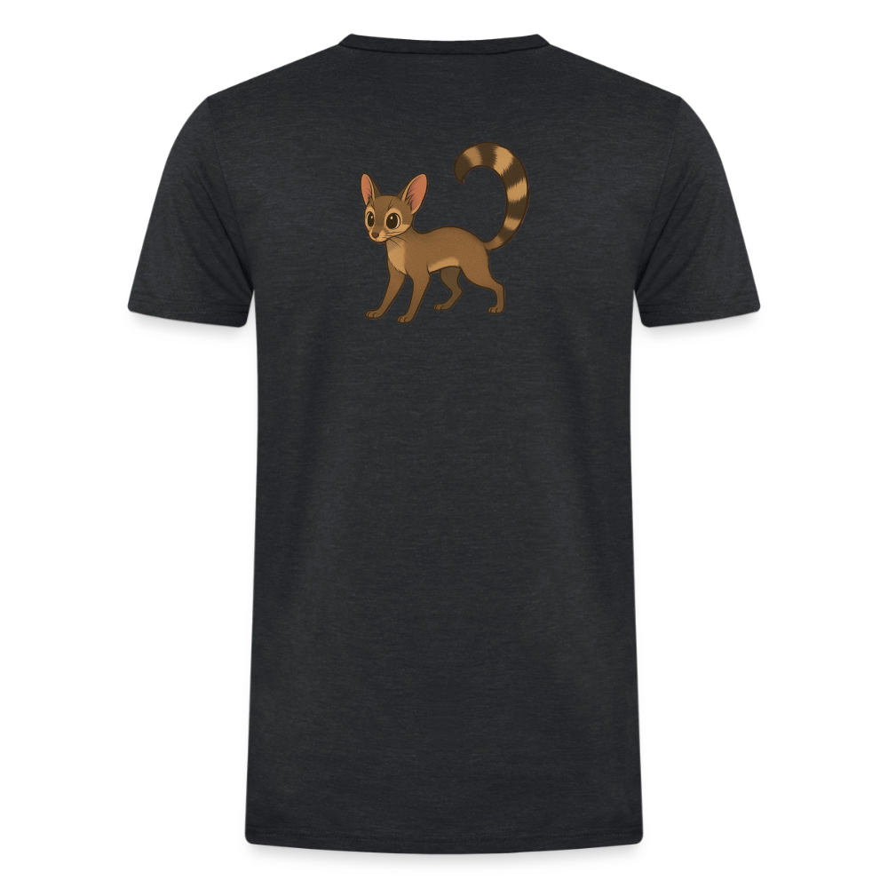 Ringtail Spotlight | Men's Classic Tri-Blend T-Shirt - Black - heather black