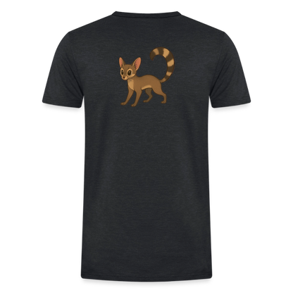 Ringtail Spotlight | Men's Classic Tri-Blend T-Shirt - Black - heather black