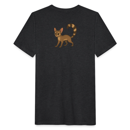 Ringtail Spotlight | Men's Classic Tri-Blend T-Shirt - Black - heather black