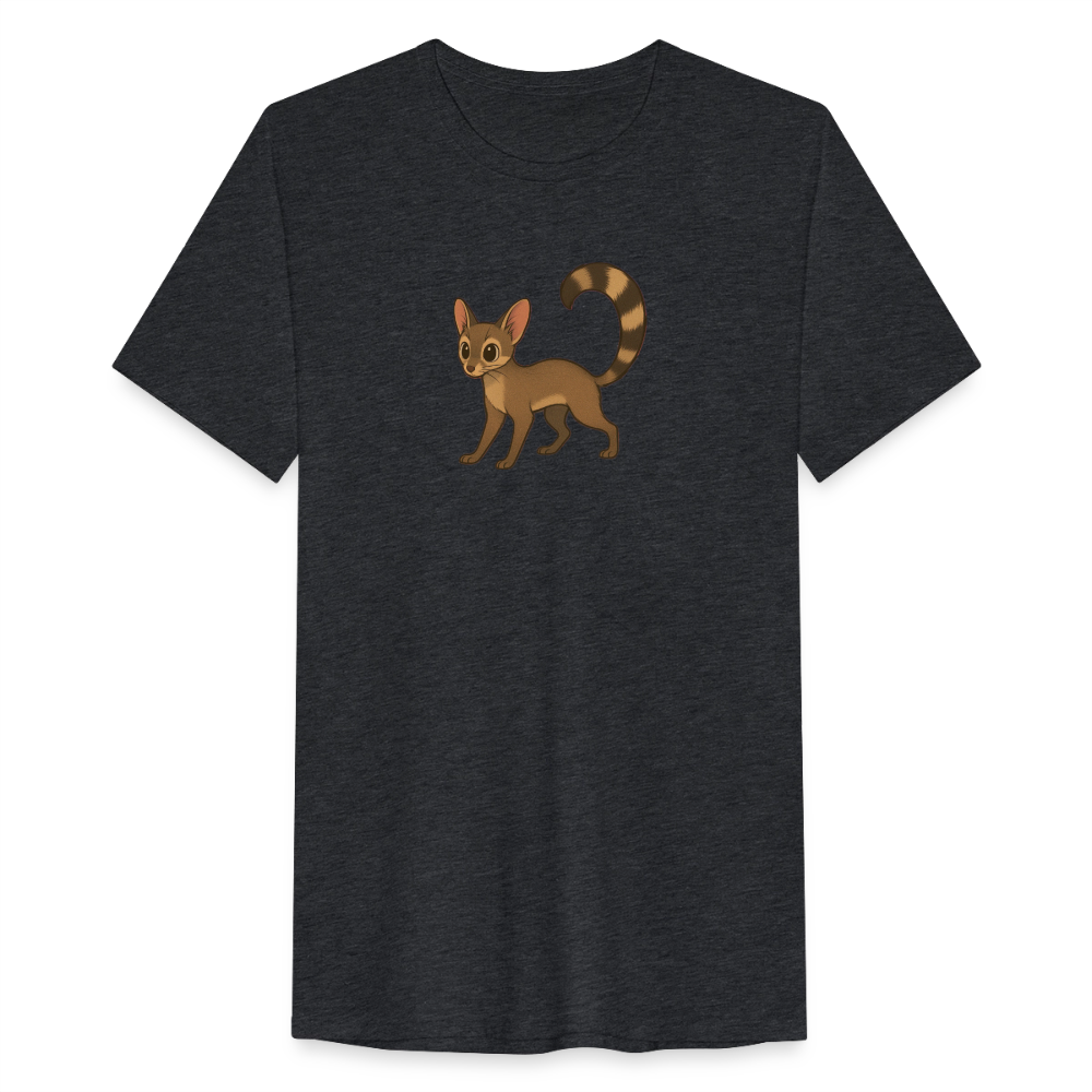 Ringtail Spotlight | Men’s Tri-Blend T-Shirt - Black - heather black
