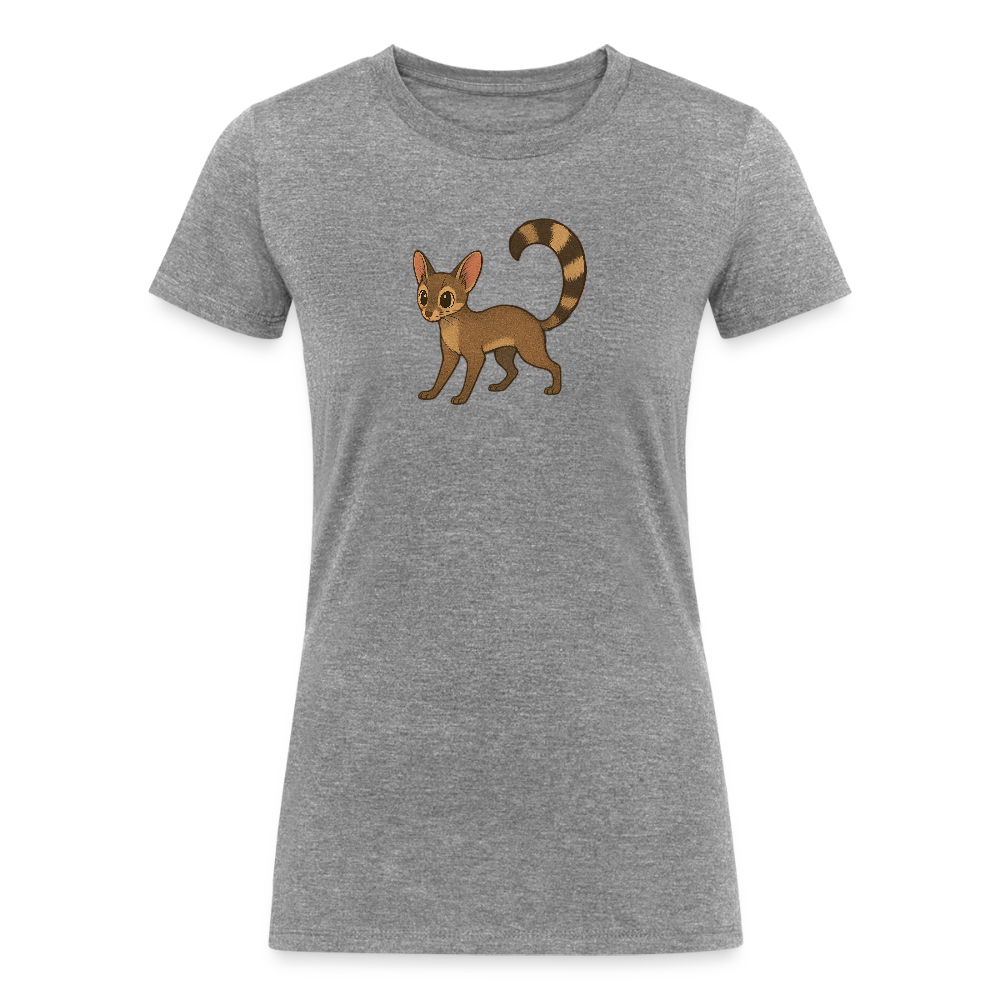 Ringtail Spotlight | Women's Tri-Blend T-Shirt - Gray - heather gray