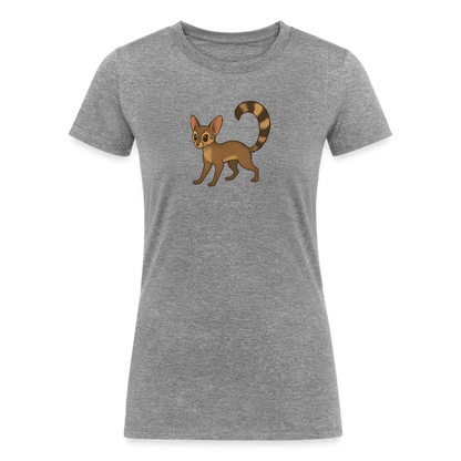 Ringtail Spotlight | Women's Tri-Blend T-Shirt - Gray - heather gray