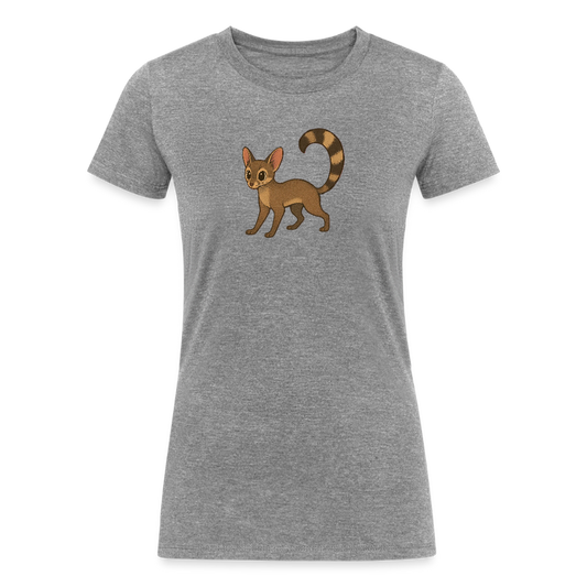 Ringtail Spotlight | Women's Tri-Blend T-Shirt - Gray - heather gray