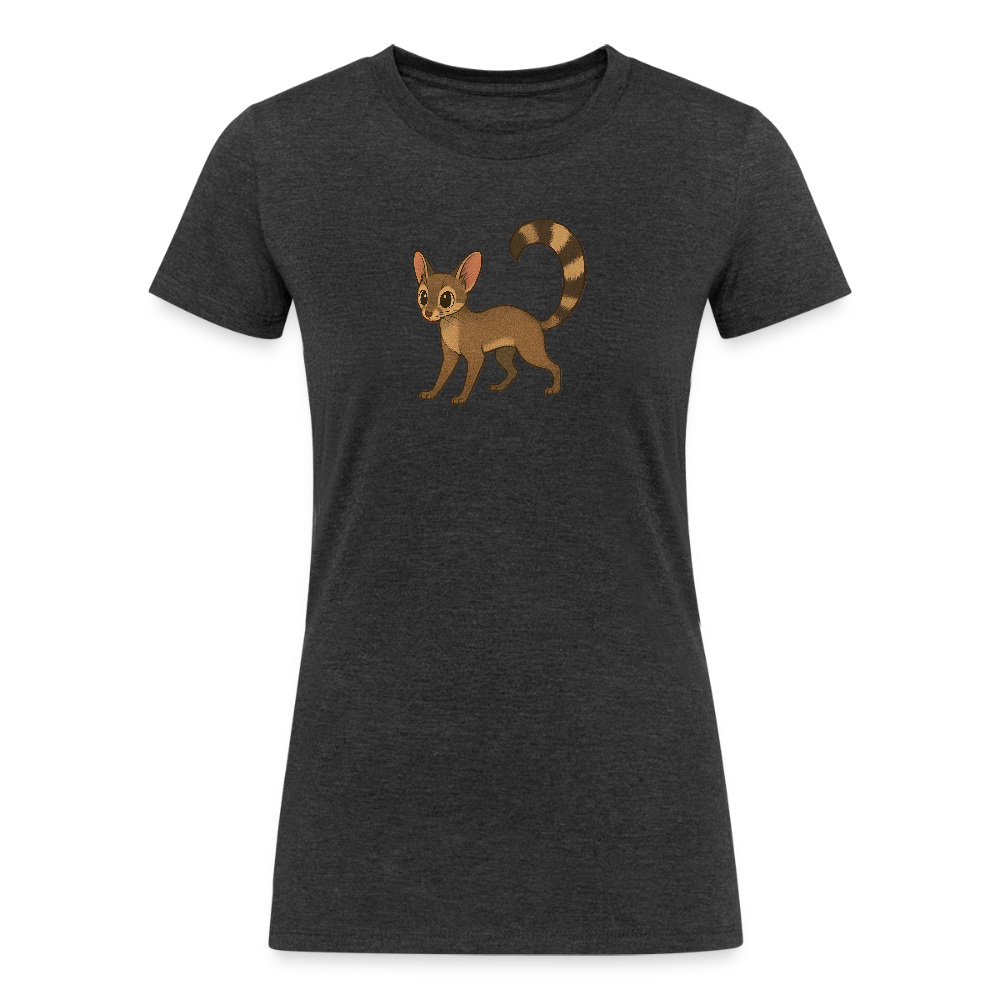 Ringtail Spotlight | Women's Tri-Blend T-Shirt - Black - heather black