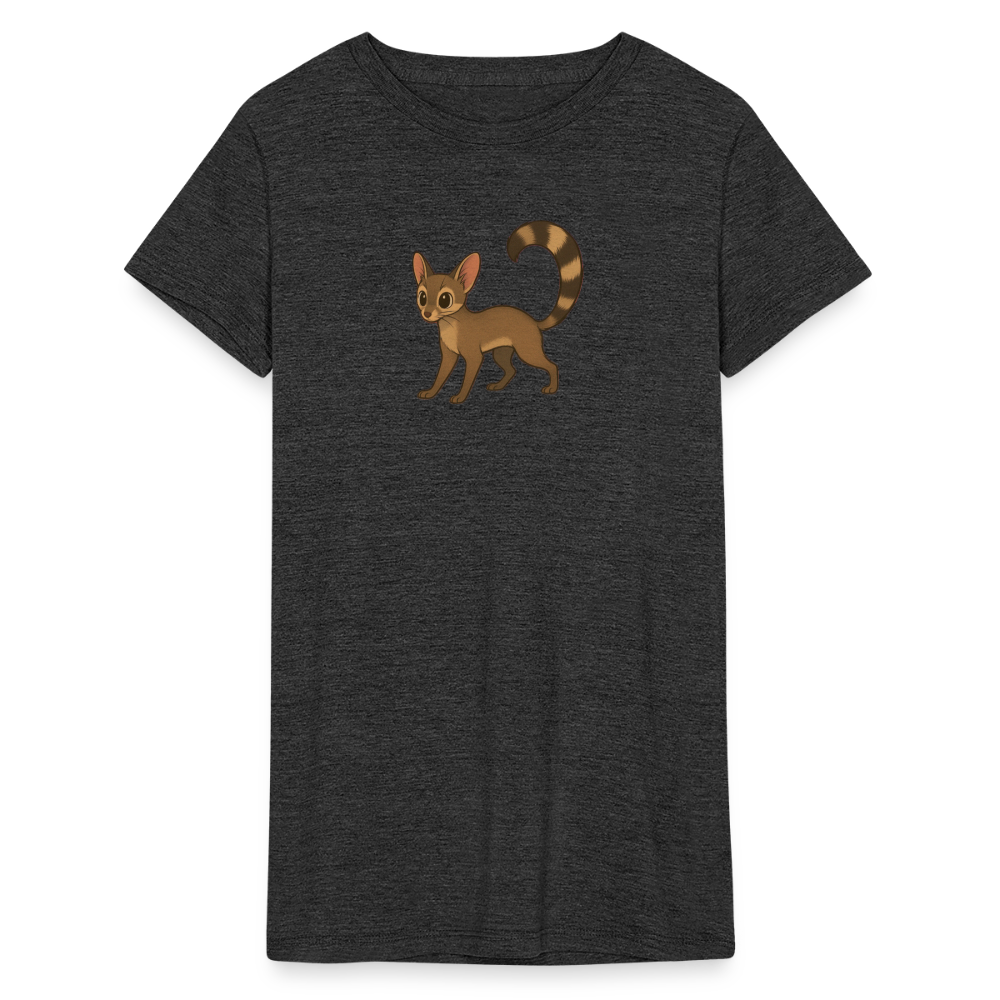 Ringtail Spotlight | Women's Tri-Blend T-Shirt - Black - heather black