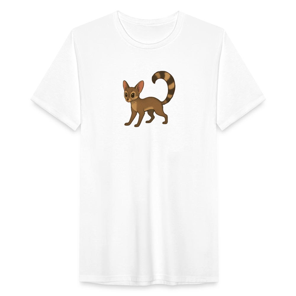 Ringtail Spotlight | Men’s Tri-Blend T-Shirt - White - white