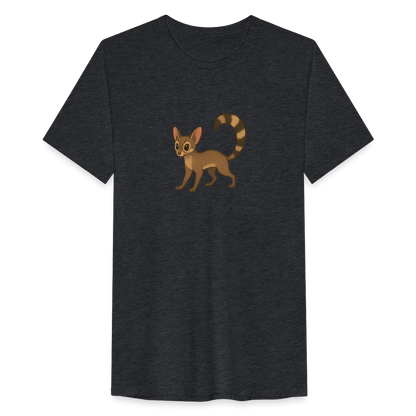 Ringtail Spotlight | Men’s Tri-Blend T-Shirt - Black - heather black