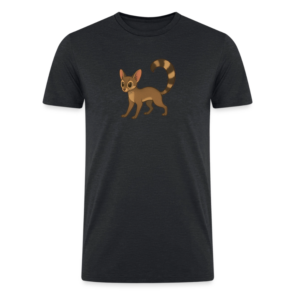 Ringtail Spotlight | Men’s Tri-Blend T-Shirt - Black - heather black