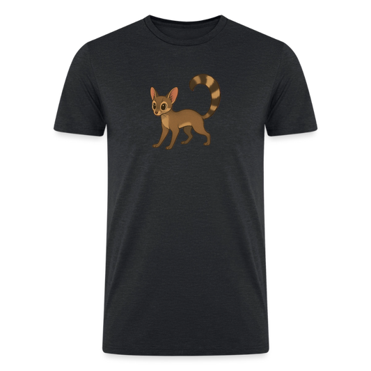Ringtail Spotlight | Men’s Tri-Blend T-Shirt - Black - heather black