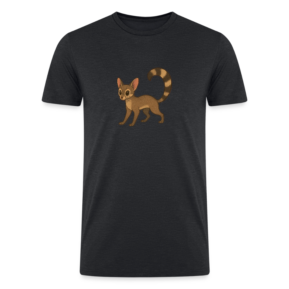 Ringtail Spotlight | Men’s Tri-Blend T-Shirt - Black - heather black