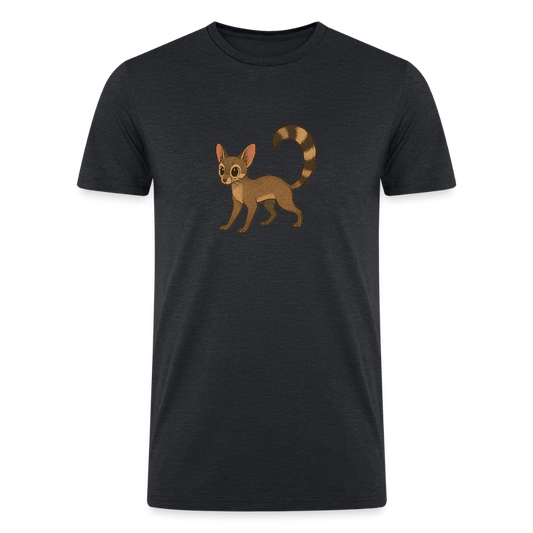 Ringtail Spotlight | Men’s Tri-Blend T-Shirt - Black - heather black