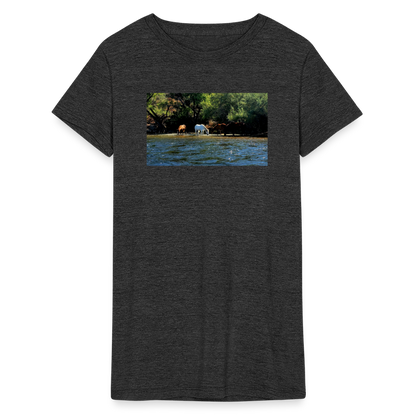 Salt River Horses | Women's Tri-Blend T-Shirt - Black - heather black