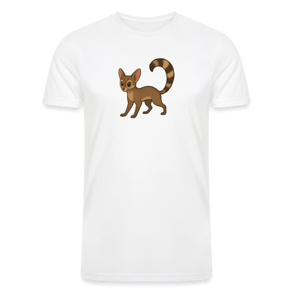 Ringtail Spotlight | Men’s Tri-Blend T-Shirt - White - white