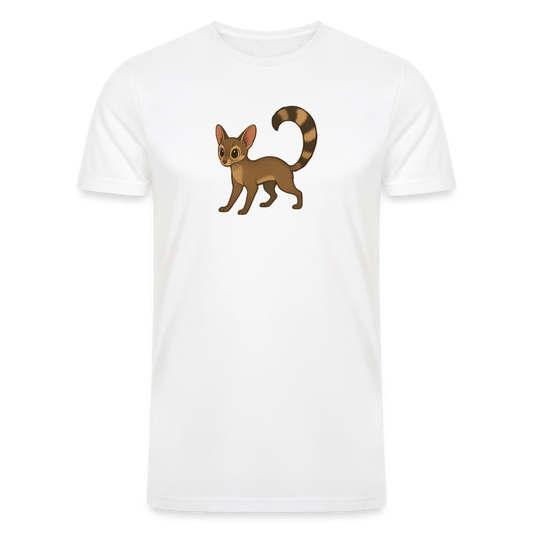 Ringtail Spotlight | Men’s Tri-Blend T-Shirt - White - white